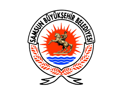 son-samsun-logo